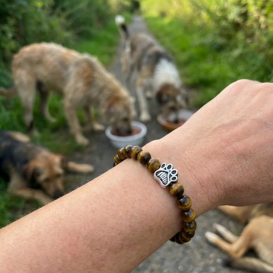 Safari Armband