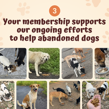 Der monatliche Rescue Pets Club