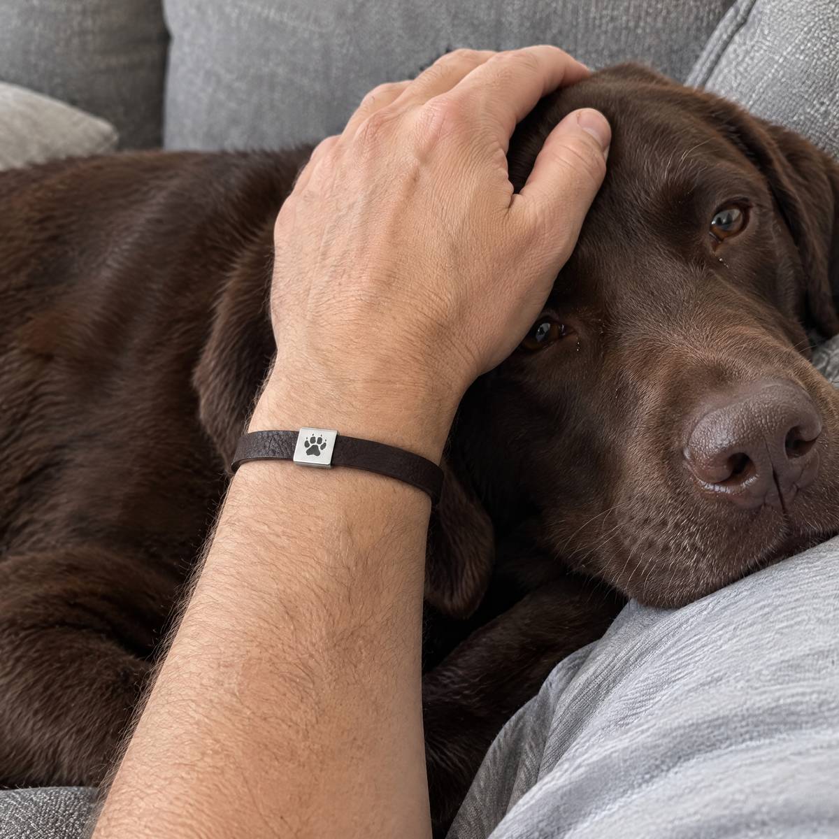 Shepherd Herren-Armband (Dunkelbraun) am Handgelenk getragen
