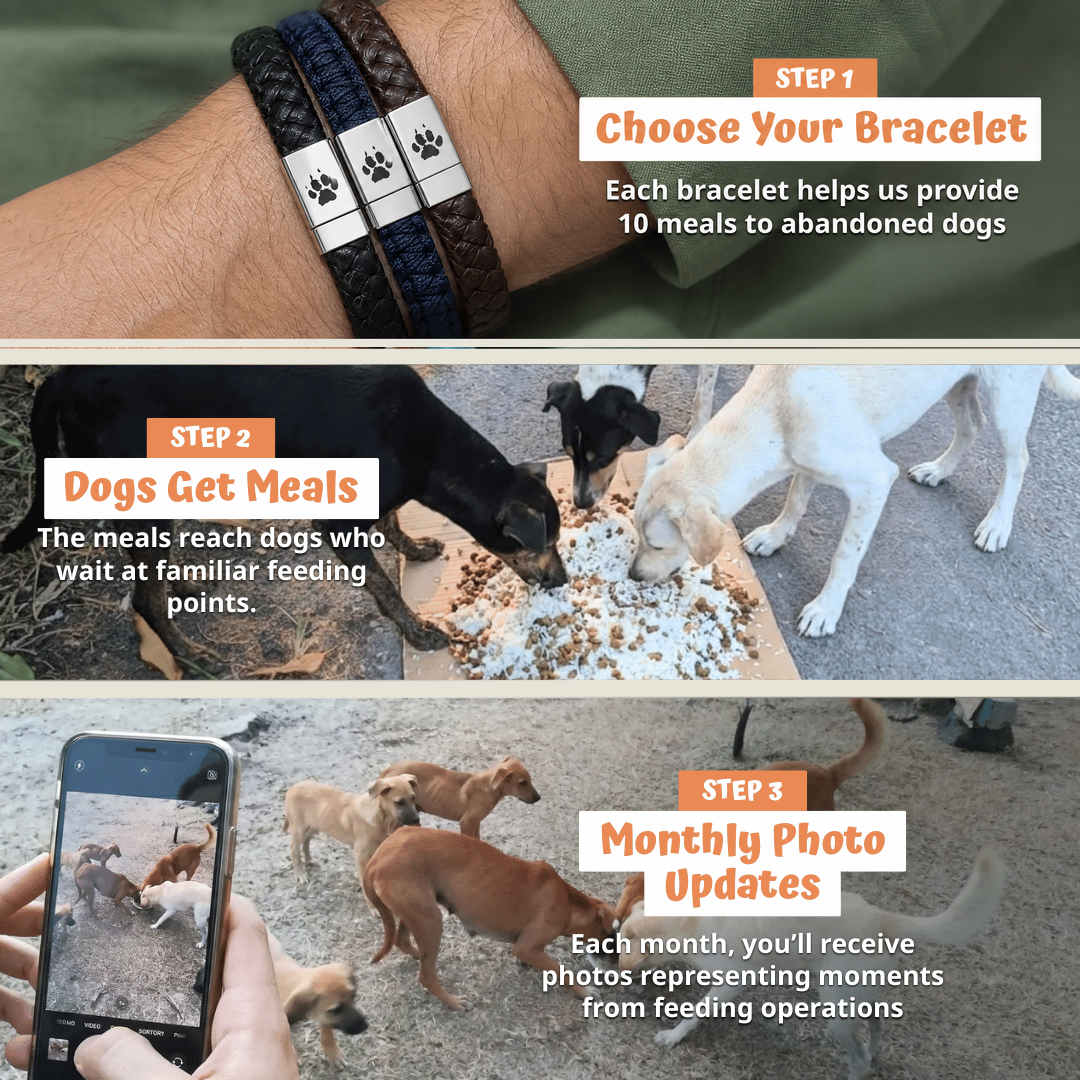 So funktioniert es: Armband auswählen, Mahlzeiten ermöglichen, monatliche Fotos erhalten