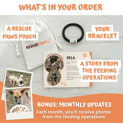 Lieferumfang von Rescue Paws: Herren-Armband, Beutel und Infokarte