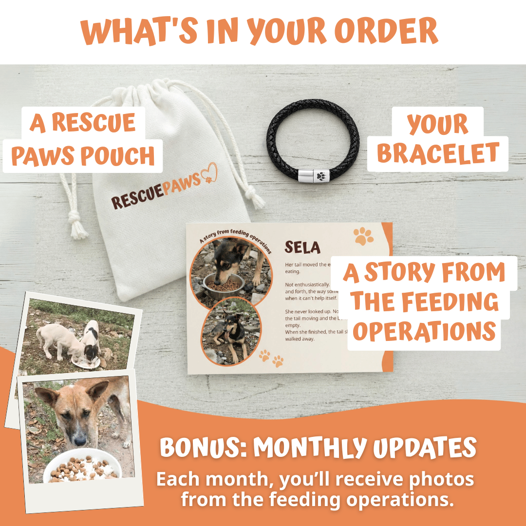 Lieferumfang von Rescue Paws: Herren-Armband, Beutel und Infokarte